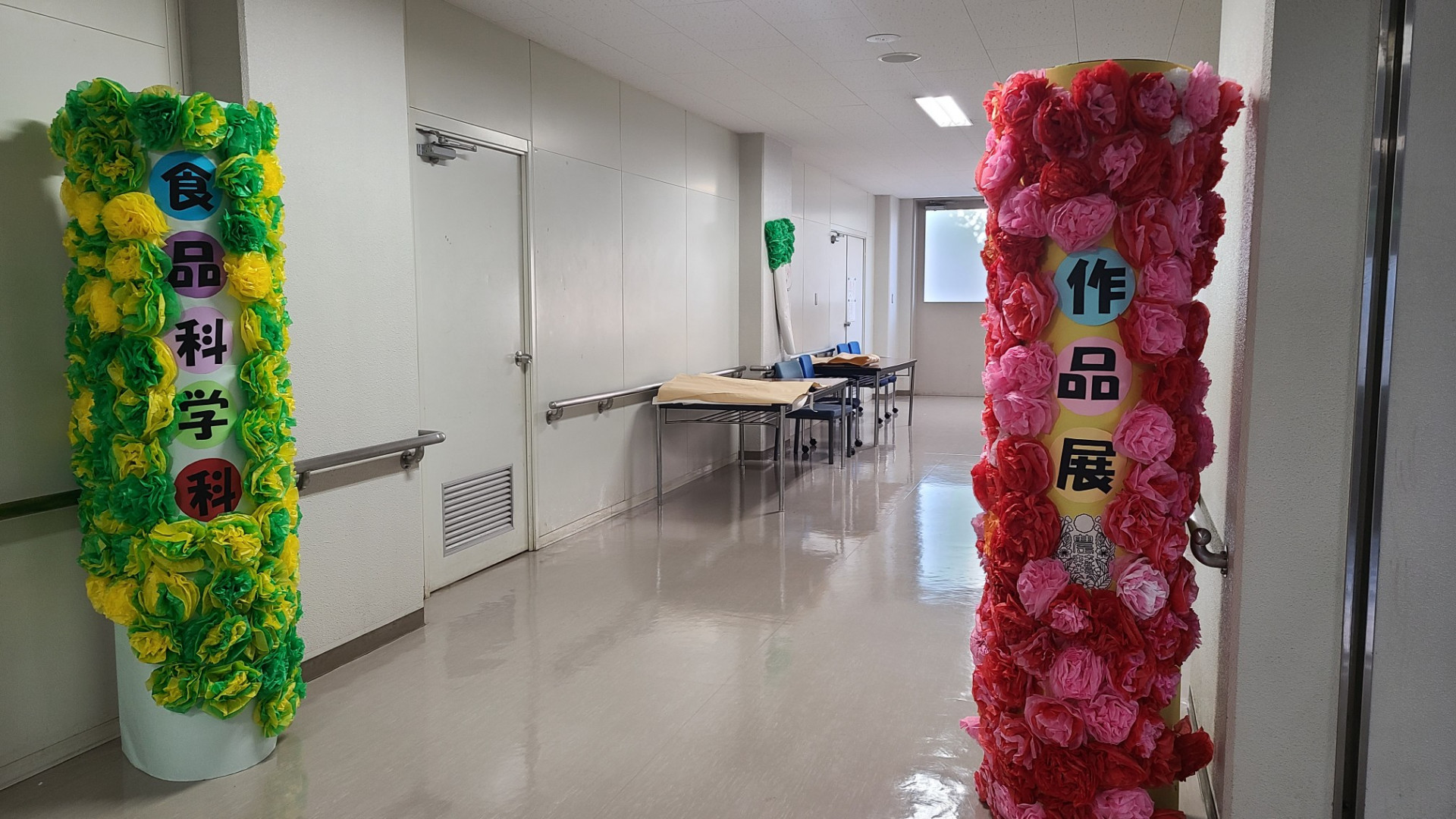 食品科展