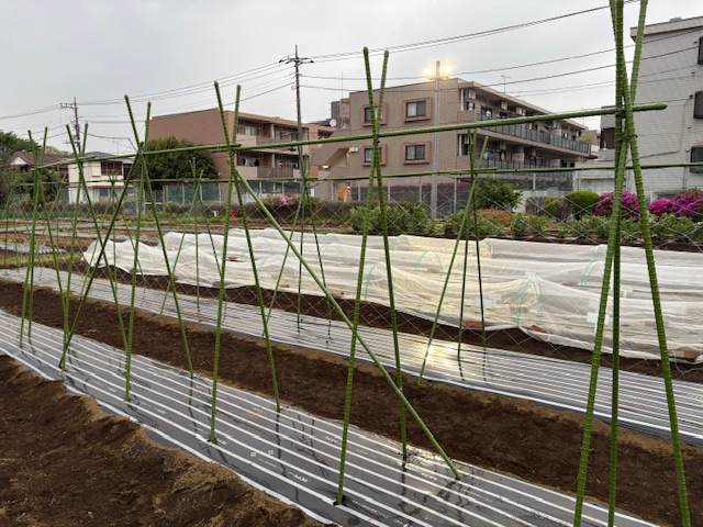 1年農業と環境⑤