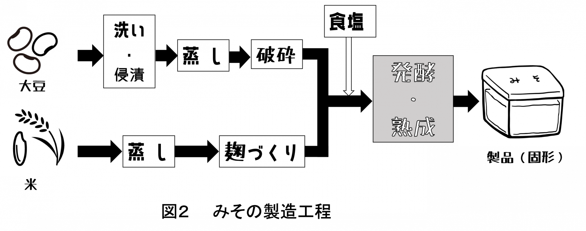 みその製造工程