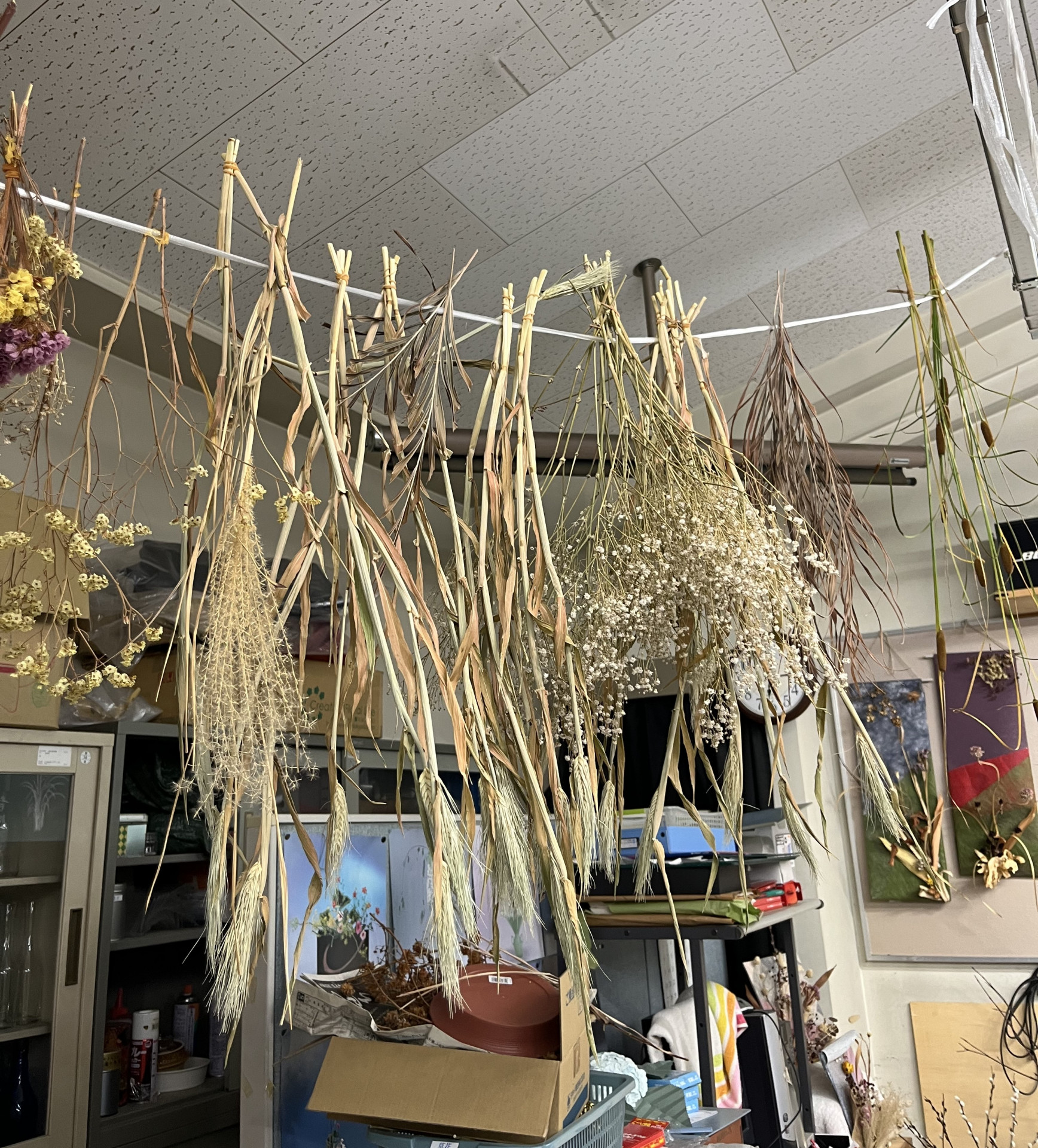 ドライフラワー