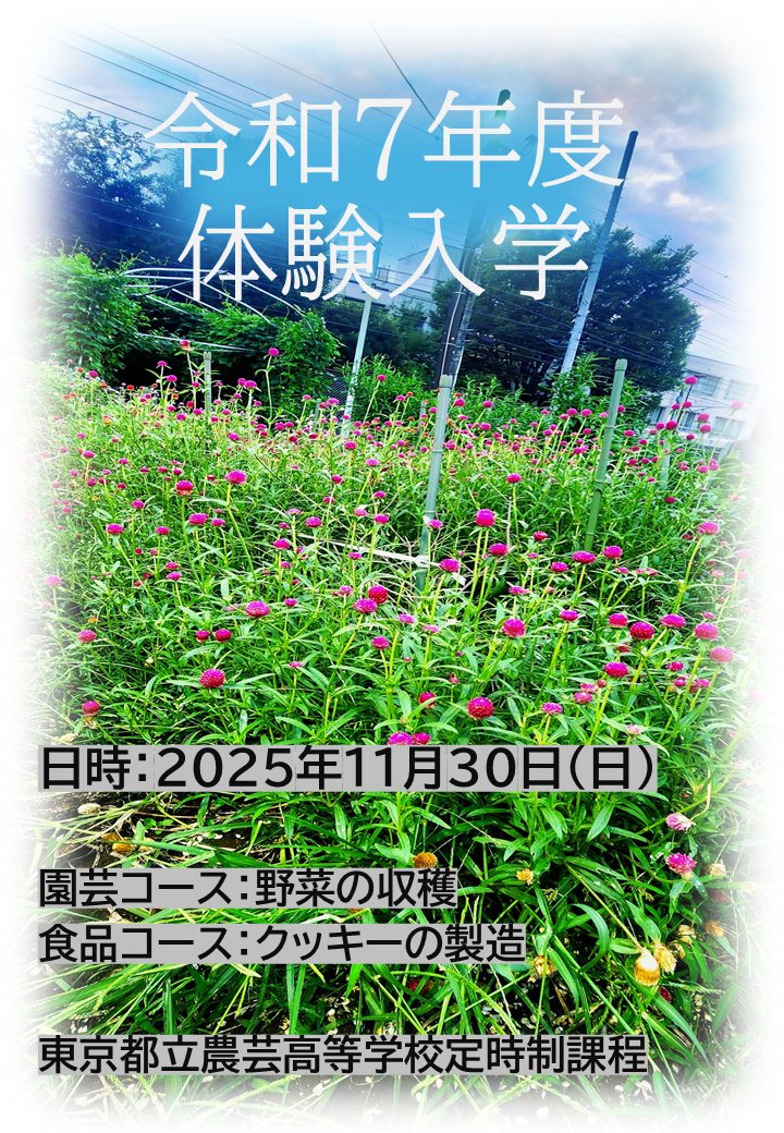 体験入学チラシ