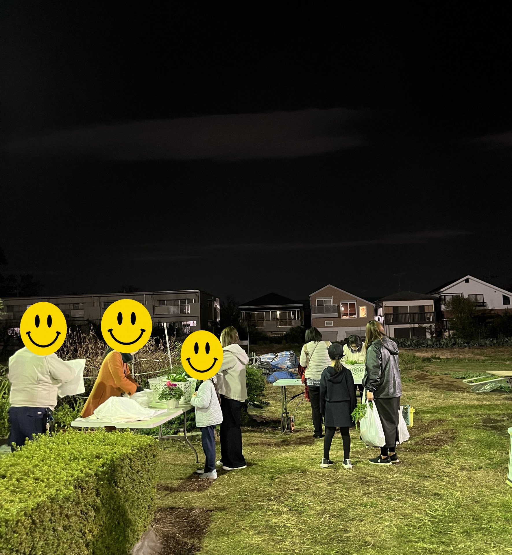 変形３年収穫実習④