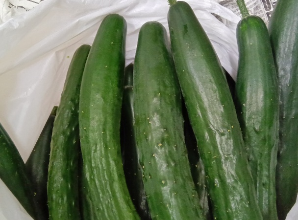 給食室からこんにちは②-1