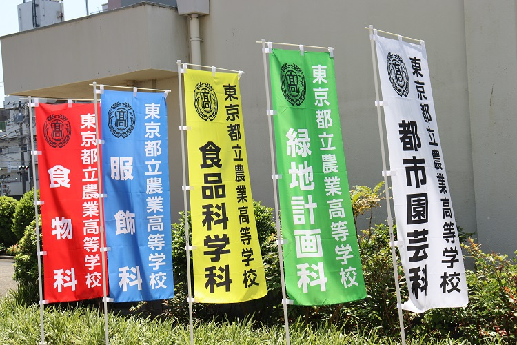 5flags