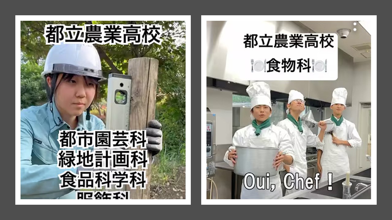 HP案内YouTube動画