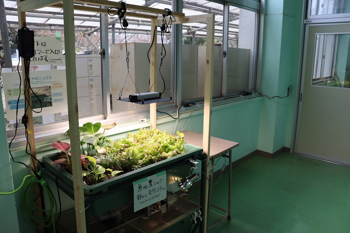 aquaponics04