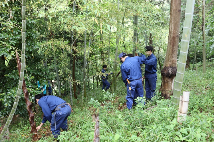 bamboo04