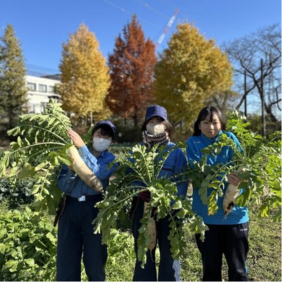 daikon