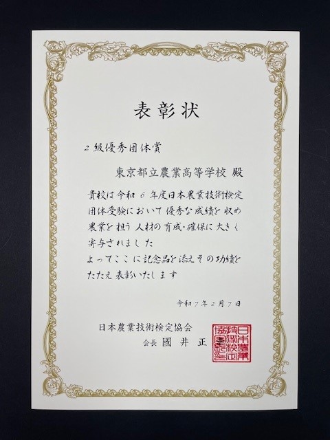 dantai2