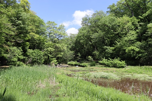 jindai09