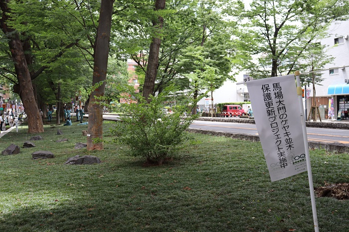 keyaki01