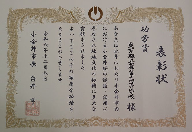 koganei100-5