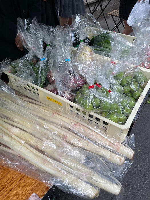marche01