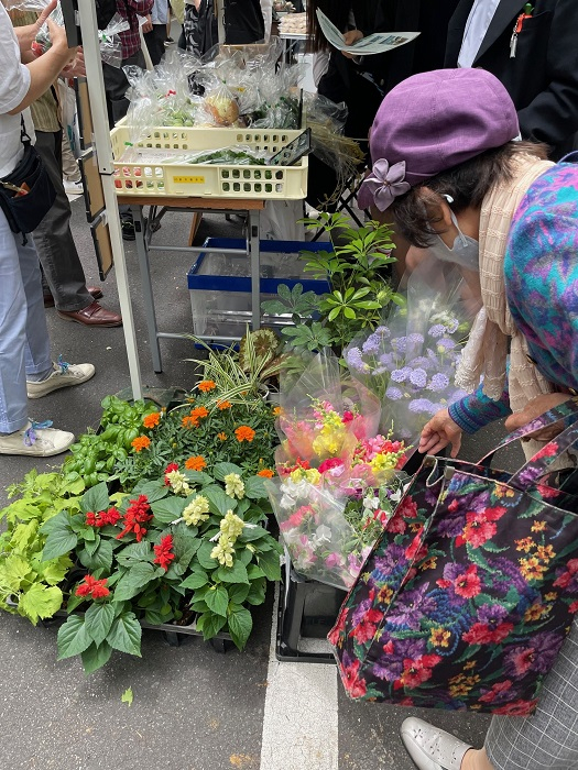 marche03