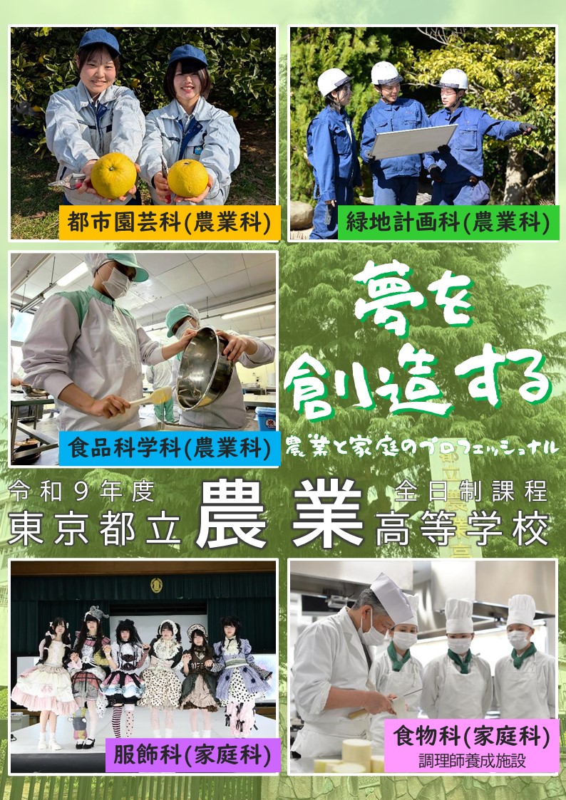 パンフレット画像