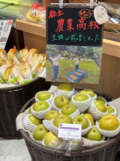 pear01