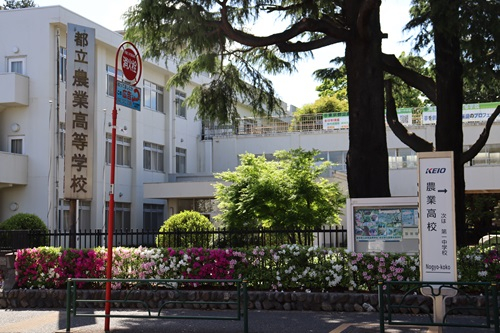 seimon06