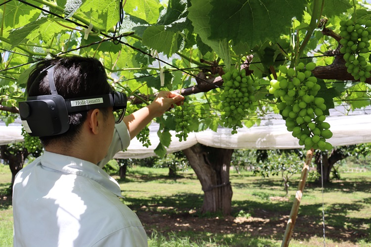 smartagri05