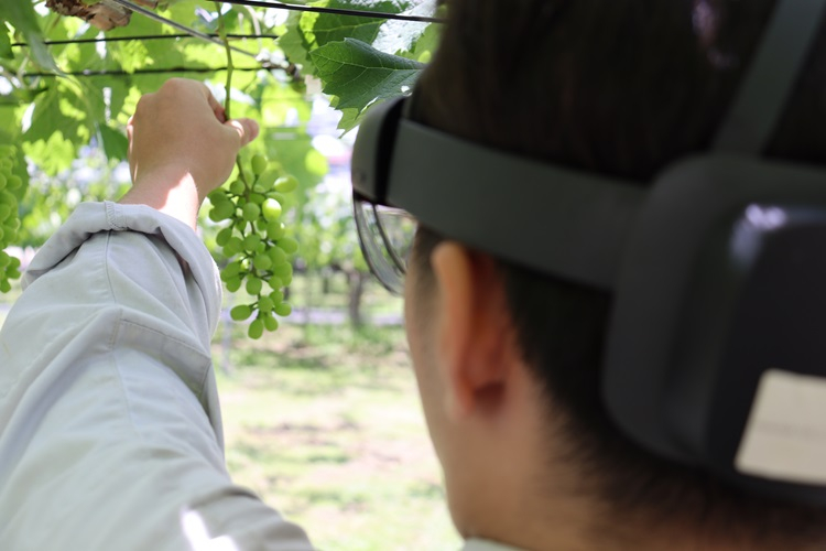 smartagri06