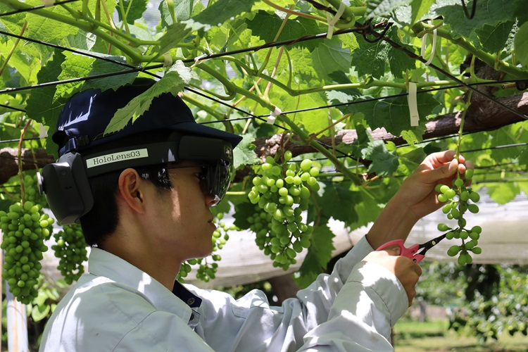 smartagri07jpg