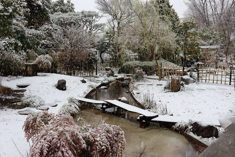 snow01