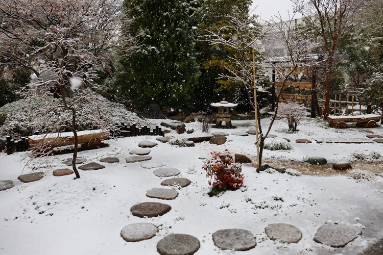 snow02