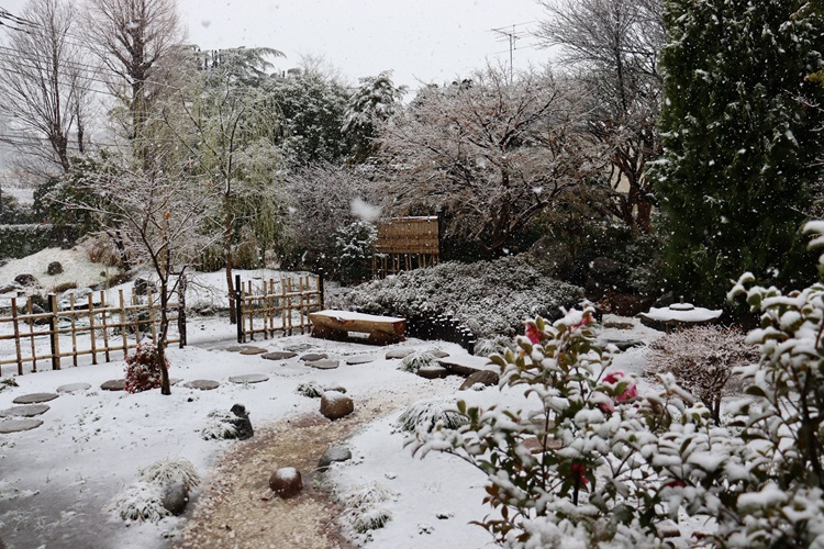 snow03