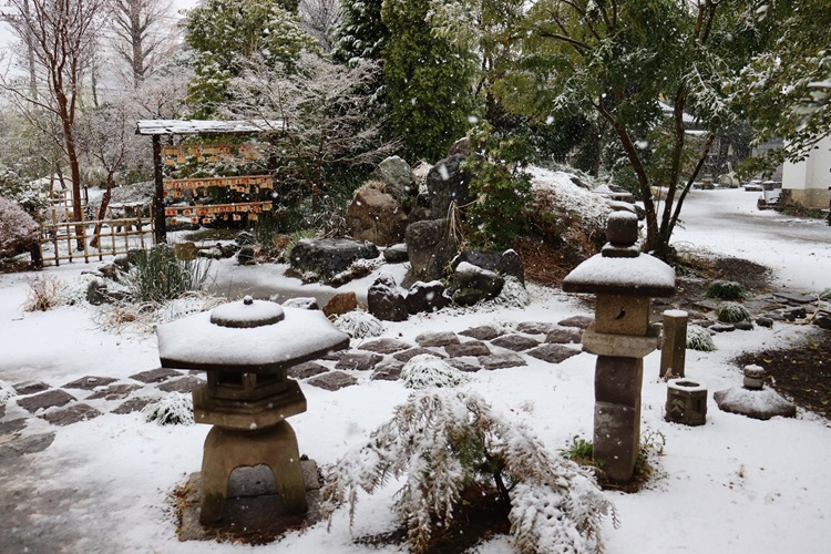 snow04