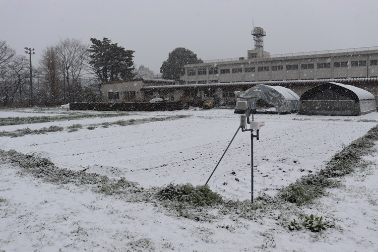 snow05