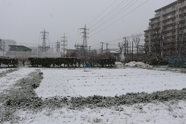 snow06