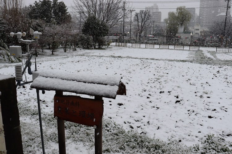 snow09