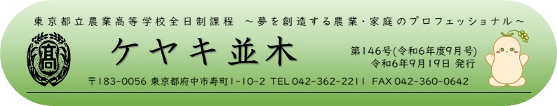 ケヤキ並木題字