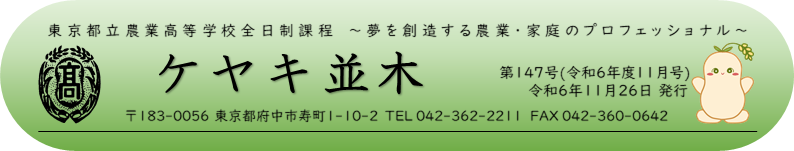 ケヤキ並木題字147