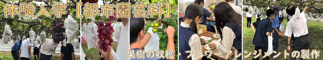 スライド2.JPG
