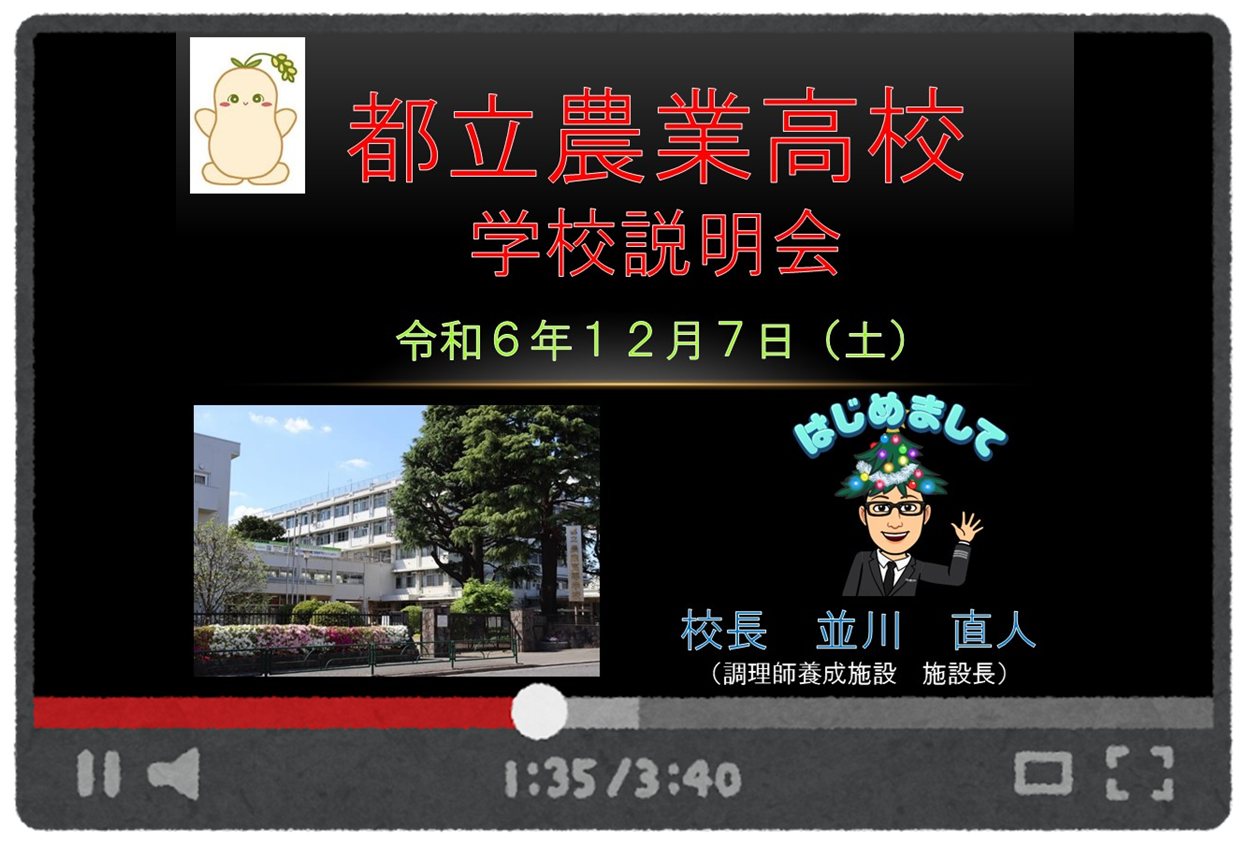 動画