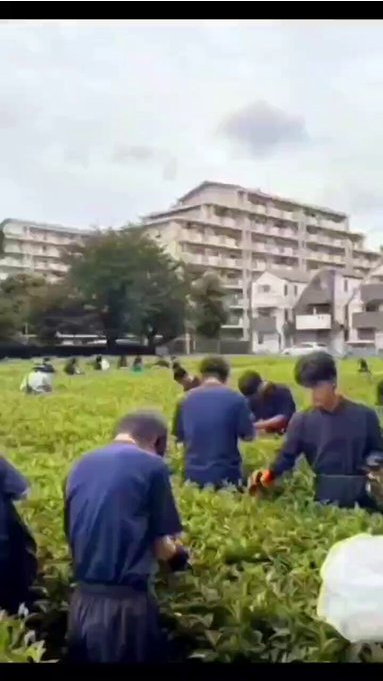 和紅茶サムネ