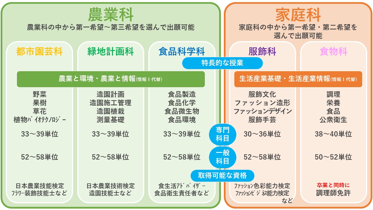 学科比較