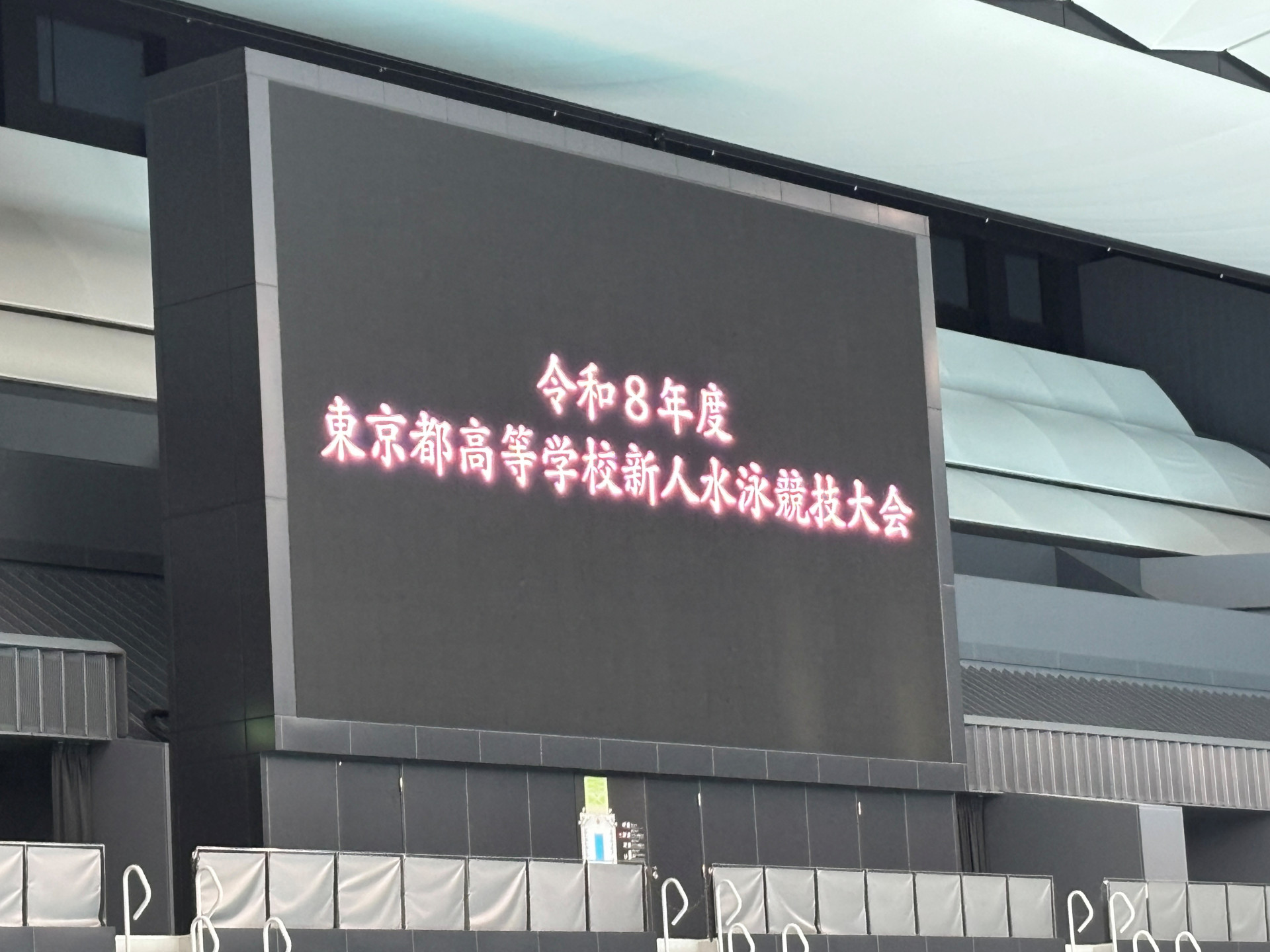 水泳部4