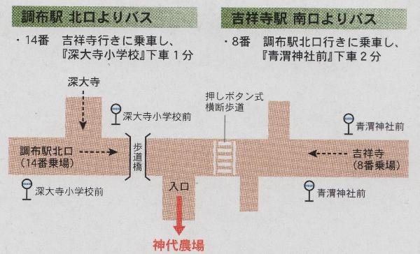 神代農場の行き方