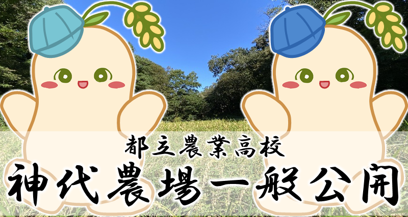 神代農場一般公開