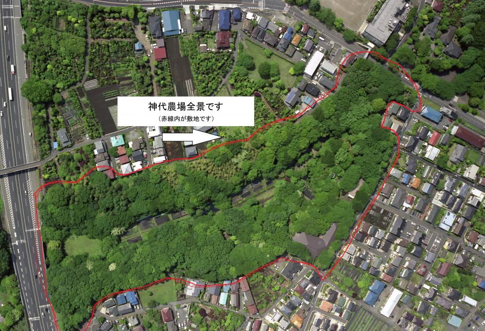 神代農場敷地：天然の湧き水が湧き出る、武蔵野の里山景観を今に残す貴重な場所です。