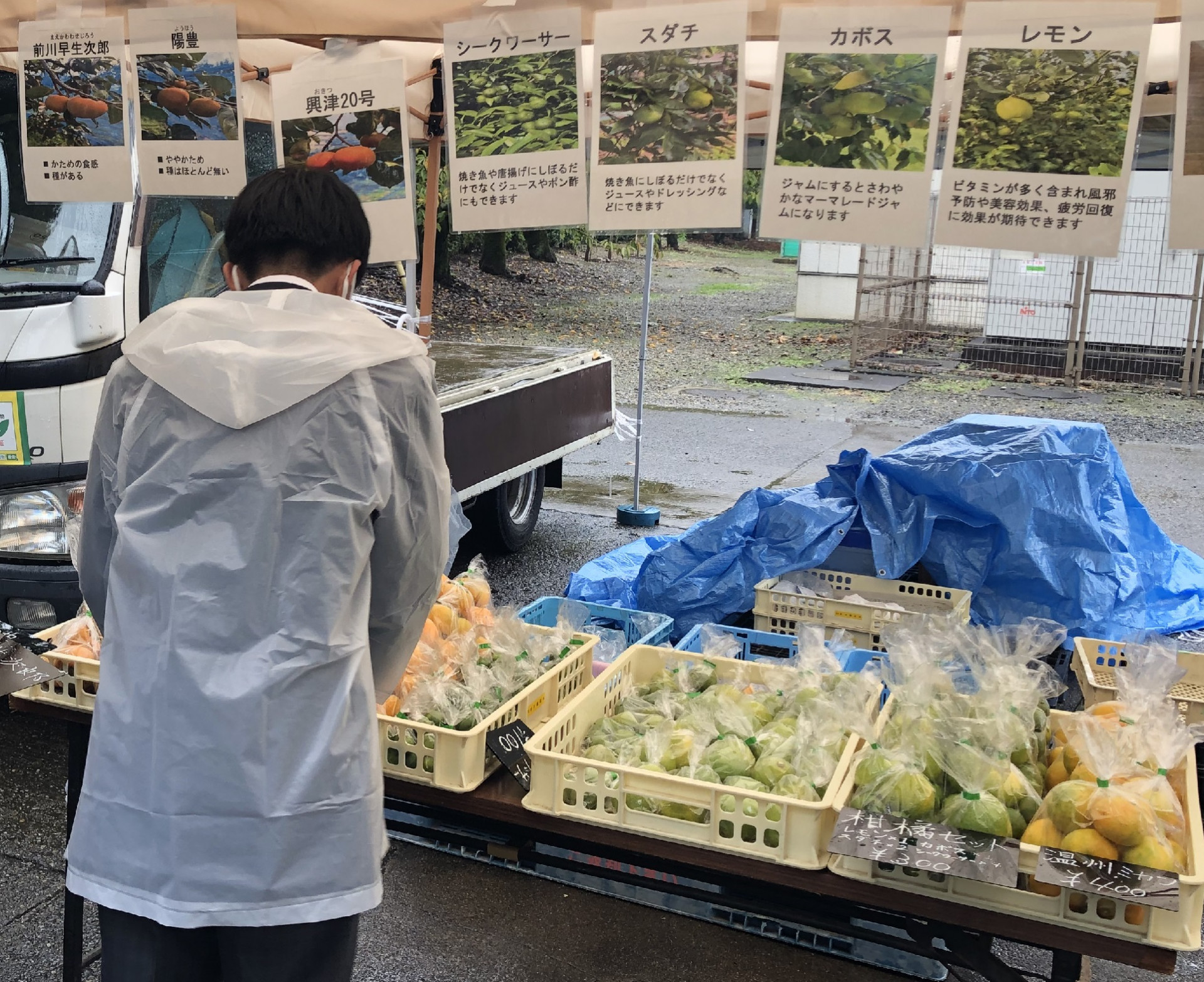 野菜購入