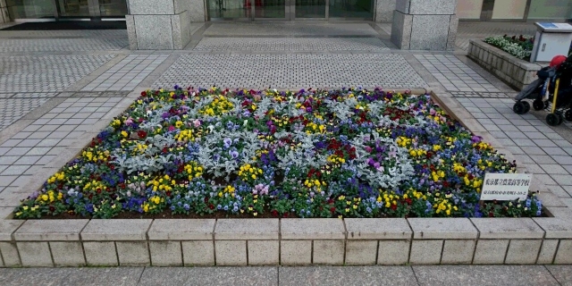 都民広場花壇の写真