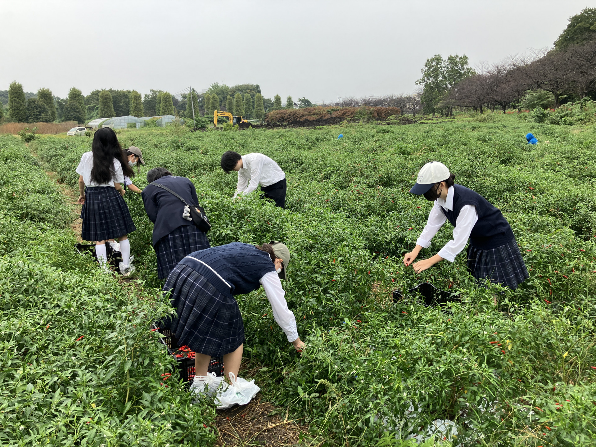 20251001_022659743_iOS