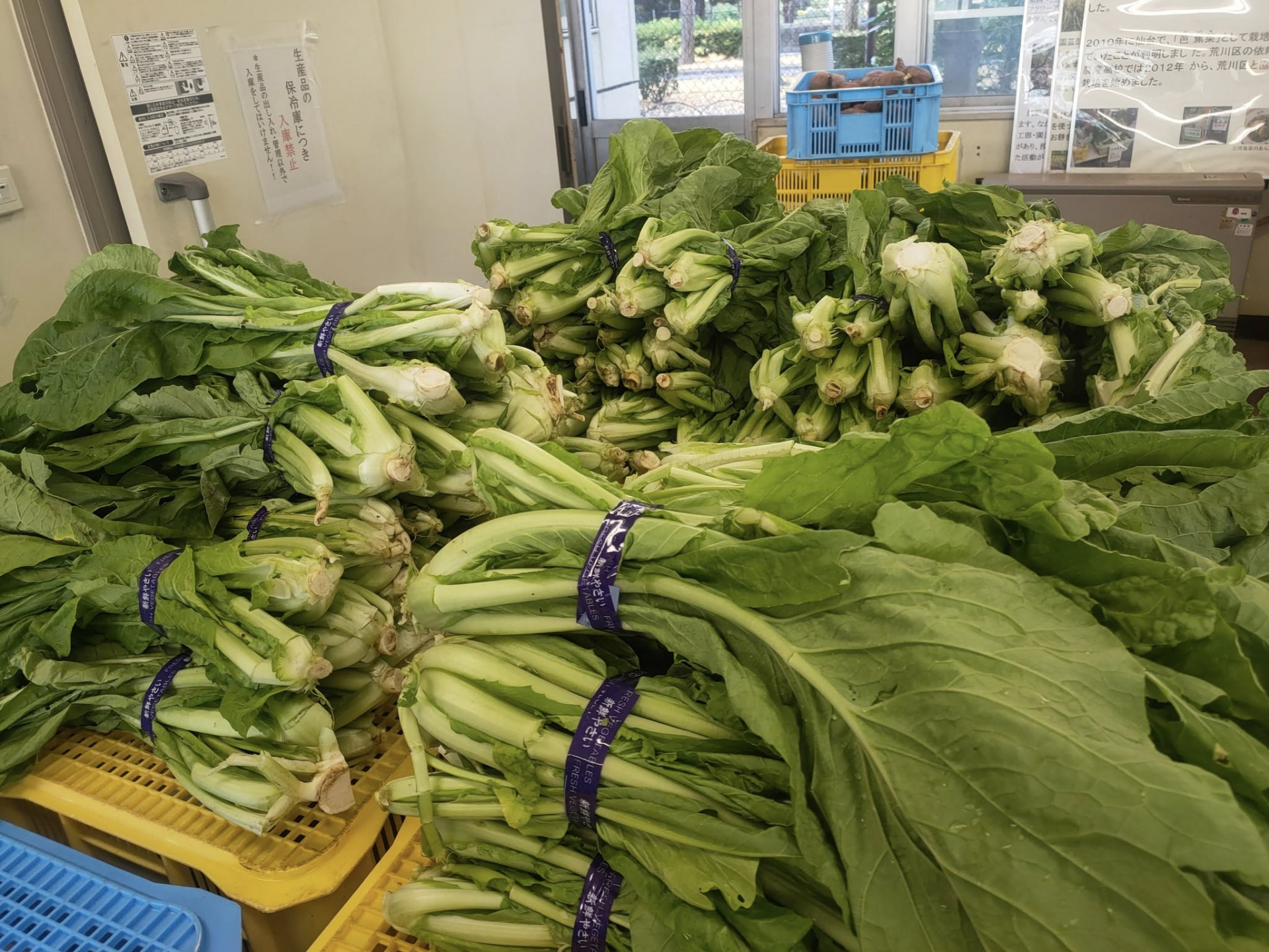 503500537_2957000404469925_4834117105887935124_n