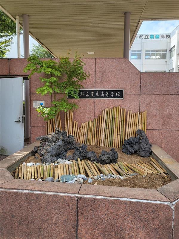 5ca8d2f5-630e-47e9-85e8-ef6a400277f2