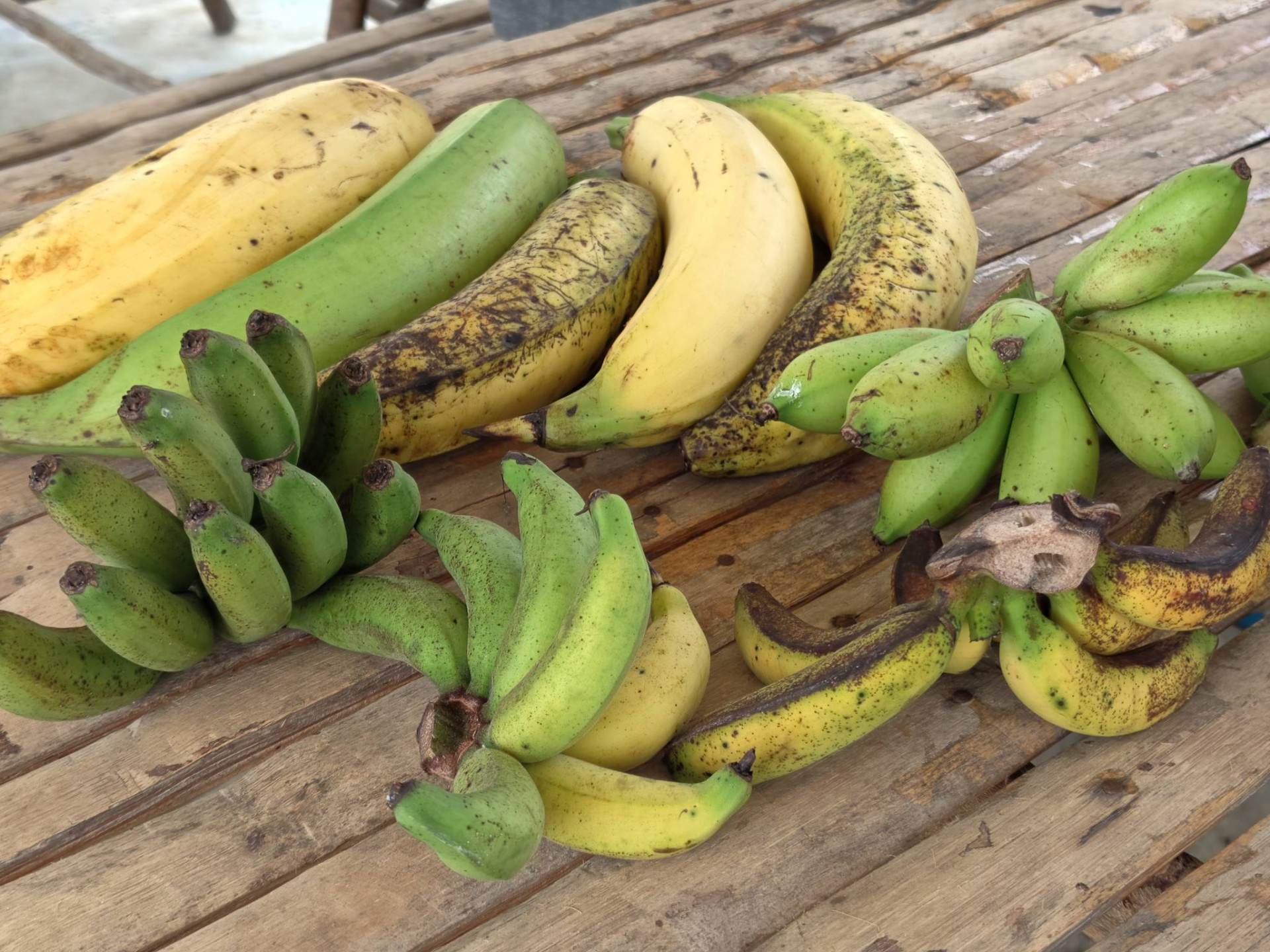 605816931_3172069399629690_1064146046445040600_n