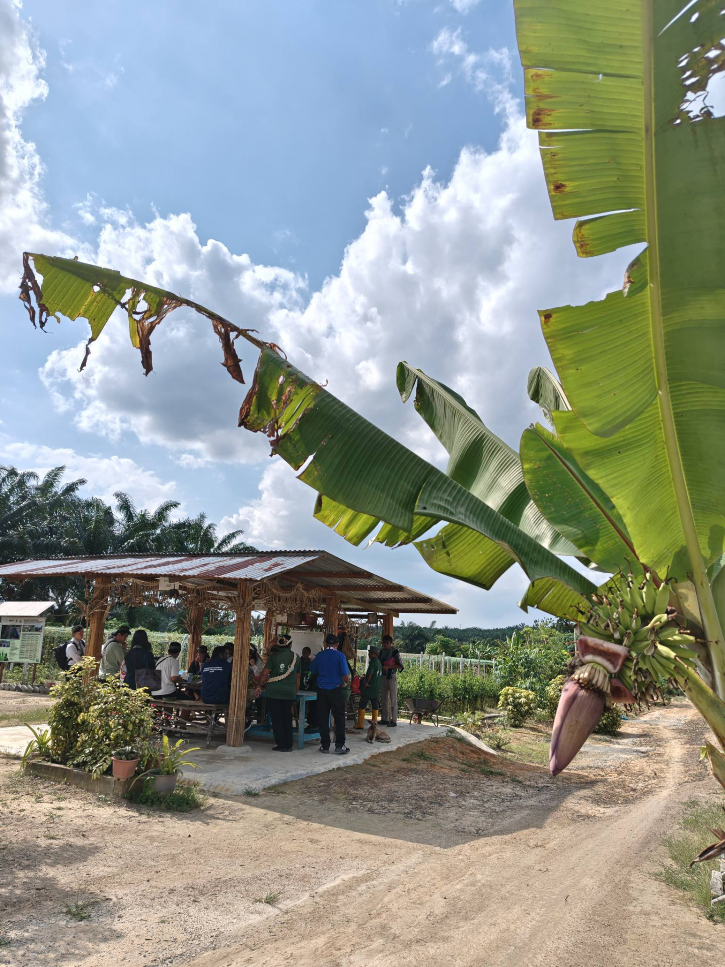 606037200_3172067702963193_8909634110347849418_n