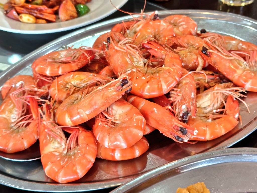 607434095_3173259719510658_7620121198387203306_n