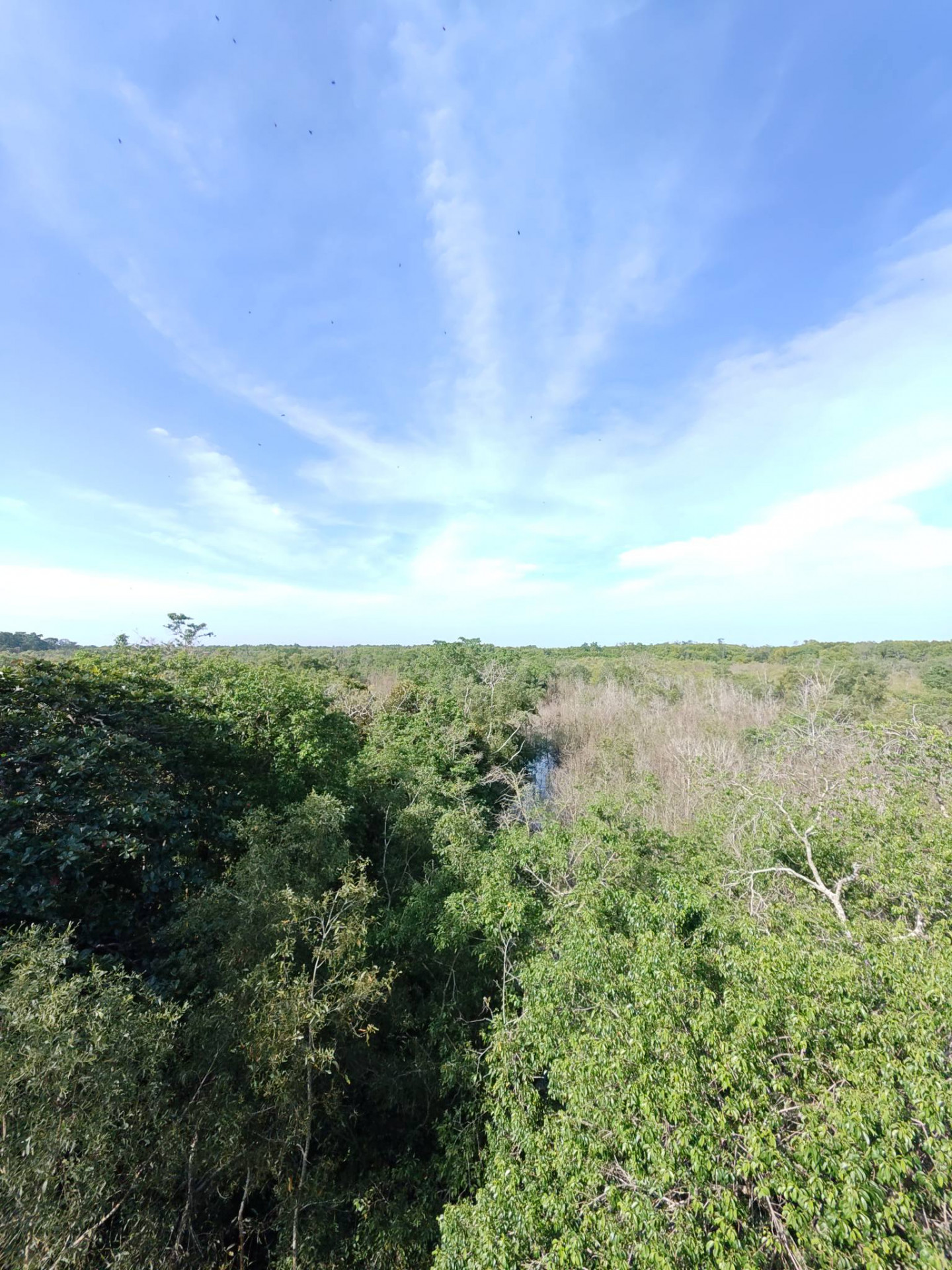 607443539_3172071406296156_1775756793186339997_n